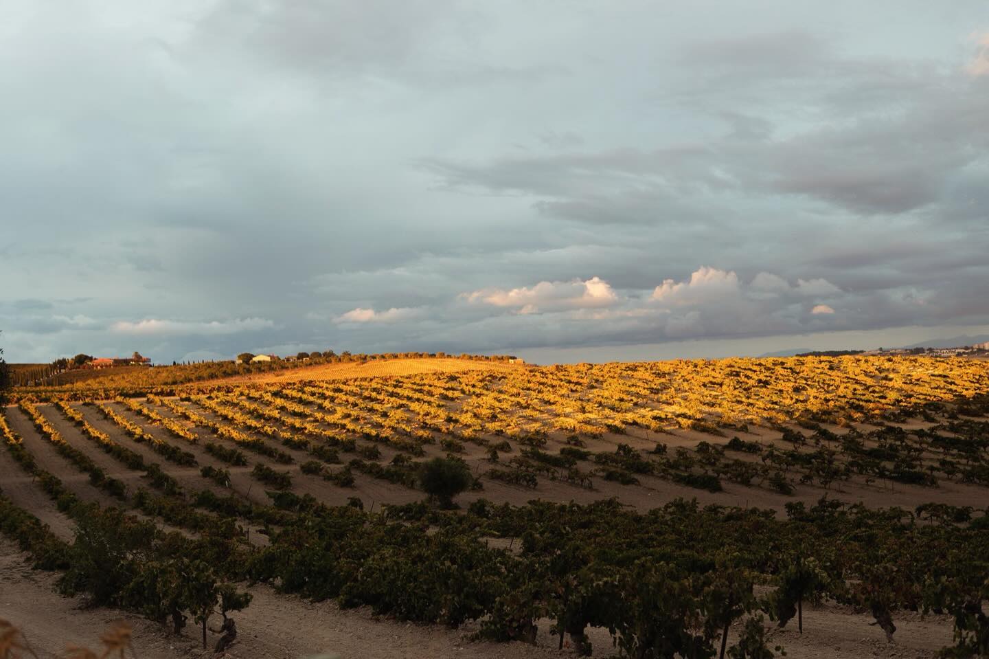 Finca Cerro Obregón